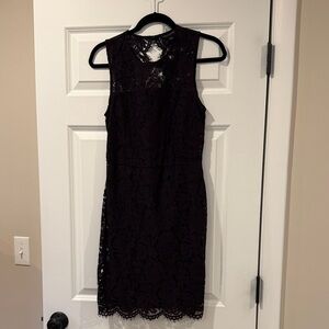Banana Republic Sleeveless Lace Dress in Deep Wine